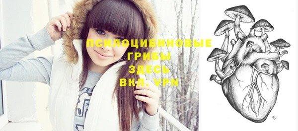 2c-b Лиски