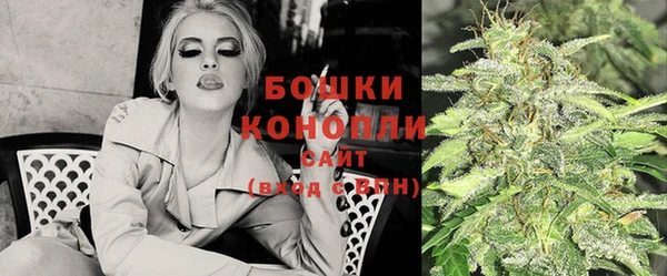 гидра Ачинск