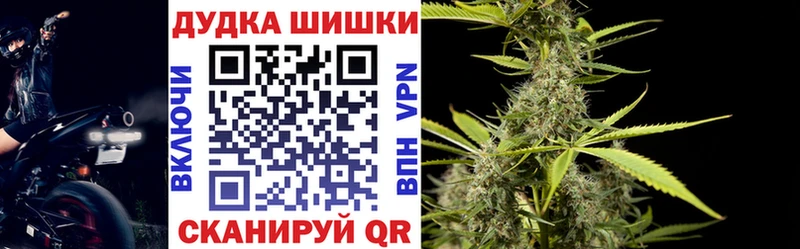 Бошки Шишки семена  MEGA ССЫЛКА  Хадыженск 